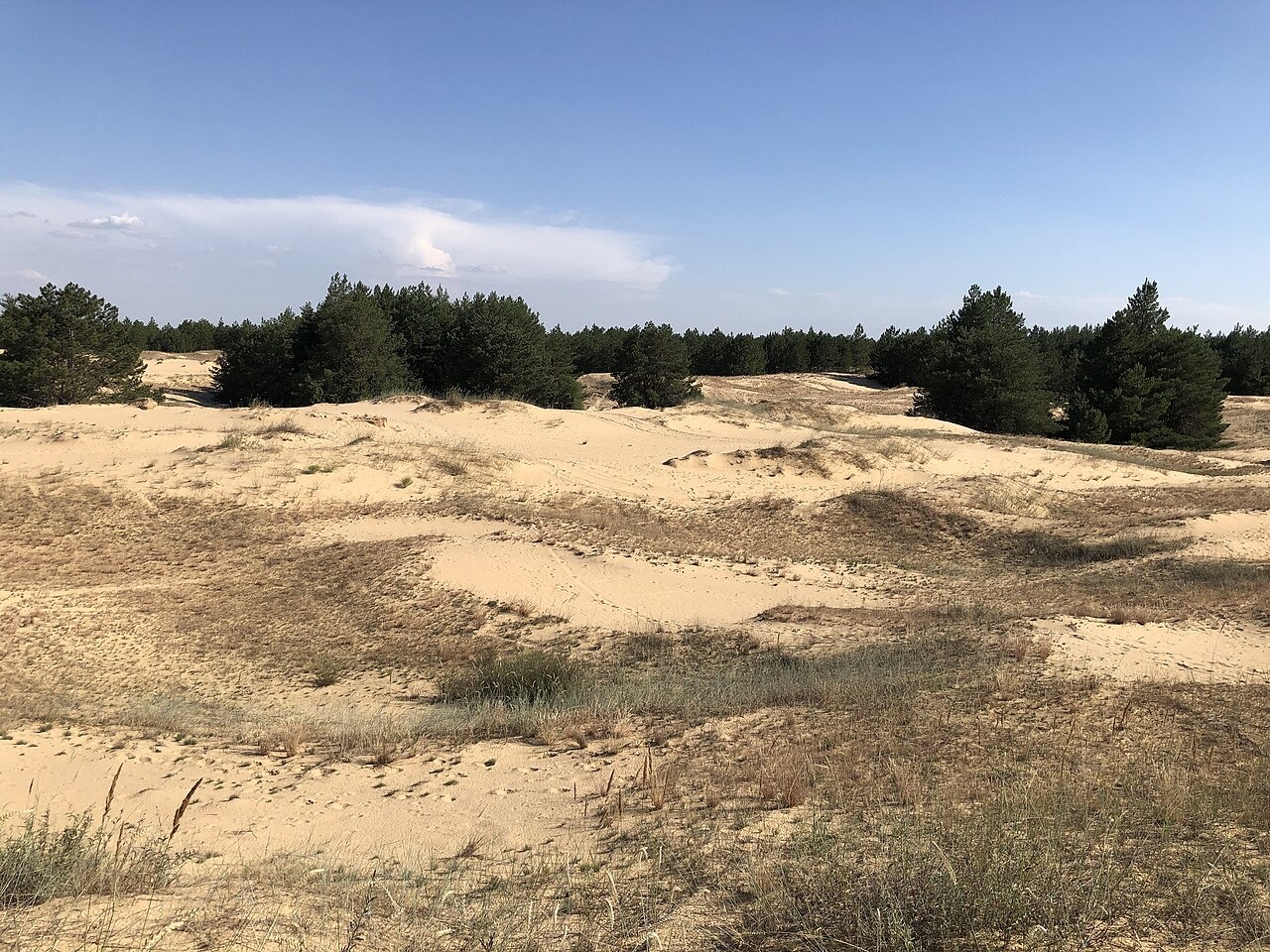File photo: File photograph of Oleshky Sands in Ukraine, captured July 2, 2020. Illustrative context; not a photograph of the reported event.