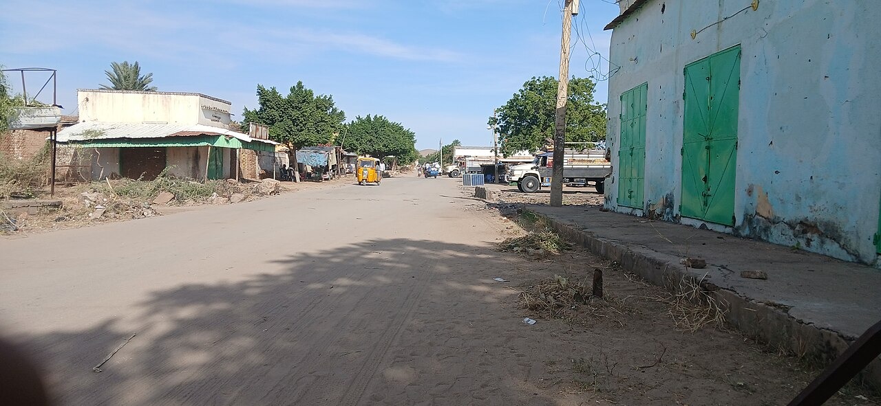 File photo: File photograph showing a street near the market area in Nyala, Sudan. Illustrative context; not a photograph of the reported event.